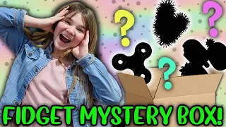 What's Inside The Fidget Mystery Box?
