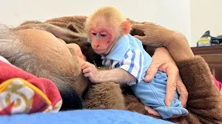 Bibi cries sadly because about to say goodbye grandma and beloved countryside!