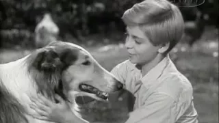 Lassie  S02e17  The Stamp Album