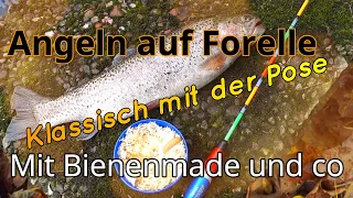 Angeln auf Forelle - Klassisch mit der Pose zum Erfolg !