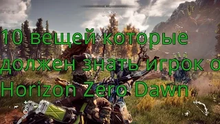 Horizon Zero Dawn: 10 вещей которые должен знать каждый игрок при прохождении игры!!