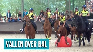Valt paard over bal op Open Dag Bereden Politie? 😰