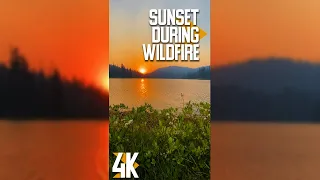 3 HRS Beautiful Sunset during Wildfire for Relaxation and Deep Sleep - 4K Video for Vertical Screens