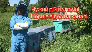 ПРИЛЕТІВ ЧУЖИЙ РІЙ! ПЕРШЕ ВІДЕО НА ЮТУБ!