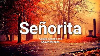 Señorita || señorita lyrics || Camila Cabello and Shawn Mendes || @Gold_Tea