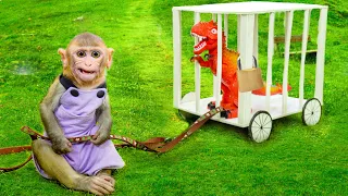 🙈Smart Monkey Bi Bon caught a fruit thief in the garden | Animal HT @AnimalIslands