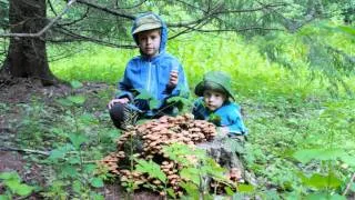 Как я провел лето. И.Гуськов