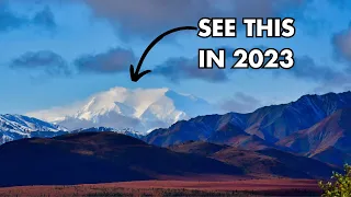 Denali National Park: What to Know to Visit in 2023