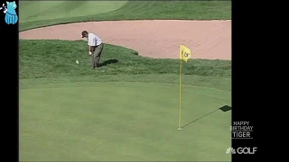Tiger Woods' Best Golf Shots 1999 PGA Championship