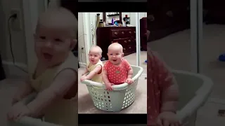 😂😂Funny twin babies#516 #shorts #HilariousBabies