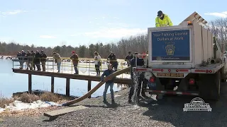 Trout Stocking Three Northeast PA Lakes