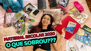 O QUE SOBROU DO MEU MATERIAL ESCOLAR 2020 | Luluca