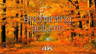 ENCHANTING AUTUMN in 4K UHD - 1 Hour of Amazing Fall Nature Scenes + Spa Music by Nature Relaxation