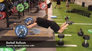 Barbell Rollouts