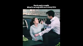 behind the scene what's wrong with secretary kim • park park couple