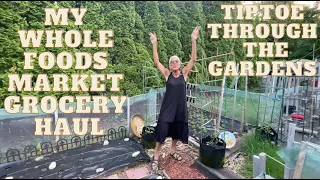 WHOLE FOODS GROCERY HAUL - YUMMY THINGS!!   A VISIT IN THE GARDENS - THE BEANS HAVE SPROUTED - YAY!!