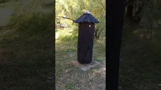 Український Музей Бджільництва, Інститут Бджільництва, Ukrainian Beekeeping Museum Kyiv, Ukraine