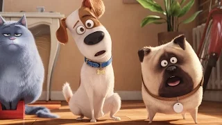 The Secret Life of Pets In Real Life 2017