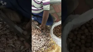 World's fastest betel nut cutting by hand