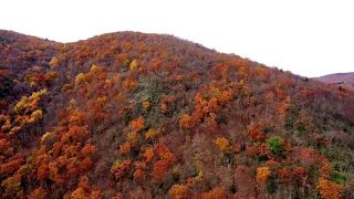 Fall Foliage | Jim Thorpe, PA | DJI Mavic Air 2