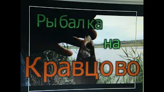 РЫБАЛКА НА ПОПЛАВОК! ОЗЕРО КРАВЦОВО!