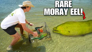 24 Hour FISH TRAP Catches EXOTIC GREEN MORAY EEL!! (Saltwater vs Freshwater Fish Trap)