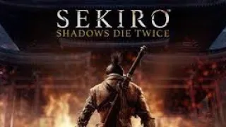 Sekiro Shadow Die Twice | Ryzen 5 4600g | vega 7 ( Fps only)