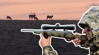 How to Select an Elk Hunting Cartridges - Bulls, Bullets & Ballistics with NOSLER