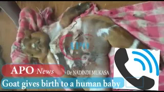 Goat Gives Birth to Human Baby