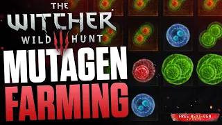 You NEED THIS - The Witcher 3 Farming Mutagens Tipps - Red, Green & Blue Greater Mutagen