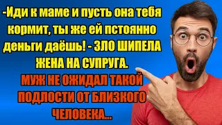 ИДИ К СВОЕЙ МАМЕ И ПУСТЬ ОНА ТЕБЯ КОРМИТ... | Истории из жизни.