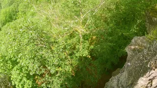 Un ruisseau une Roche peu être des corbeaux