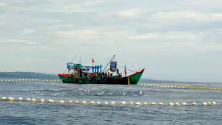 MENGEJUTKAN, Begini Cara Nelayan Indonesia Menangkap Ikan Di Rumpon || PUKAT CINCIN