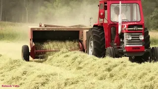 Baling Small-Bale Hay with MF 185.