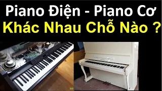 Tìm Hiểu Cấu Tạo Piano Điện Và Piano Cơ | Phân Tích Chi Tiết - Cụ Thể - Trực Quan - Dễ Hiểu |