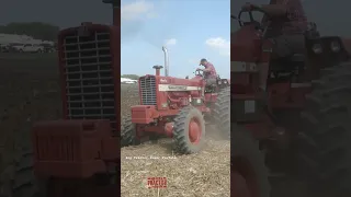 INTERNATIONAL 1026 Tractor Plowing #bigtractorpower #caseih #tractor