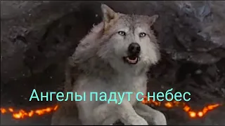 Ангелы падут с небес