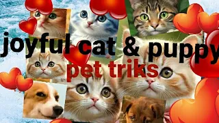 Like & Subscribe meTHE FUNNIEST PET VIDEOS OF BEST COMPILATION  DOG AND CAT VIDEOS puppycat netflix