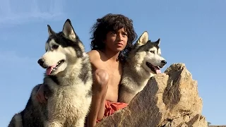 Children of the Wild - The Story of the Jungle Book - 360°