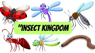 Names of Insects|insects name|insects for kids|insect names in English