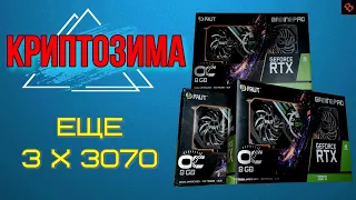 Palit Gaming Pro 3070 С АВИТО / майнинг