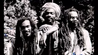 ISRAEL VIBRATION - Reggae On The River