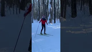 WHAT NORDIC SKIING IS REALLY LIKE | SKIING IN STYLE