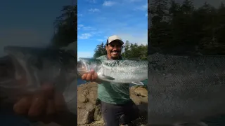 Spring Salmon Catch & Cook Vancouver Island #shorts #bushcraft #survival #ancestral