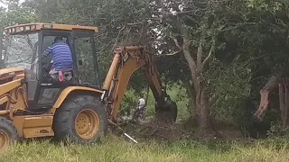 Arrancando un árbol con una retro.