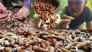 Naga exotic food from forest, Northeast India