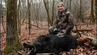 Hunting Russian Boar with a Bow | Spartan Hunting Preserve | "Bringing Home The Bacon"