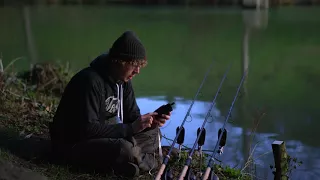 Vimarco FNX - recenzja z testów Carpology