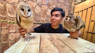 Zindagi Me Pahli Dafa Owl Dakha 😍