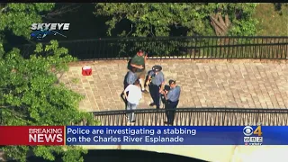 Man Arrested After Stabbing On Esplanade